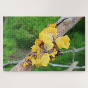 Witches Butter Mycelium Puzzle