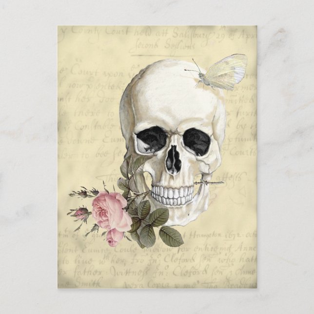 With a rose between my teeth postcard (Front)