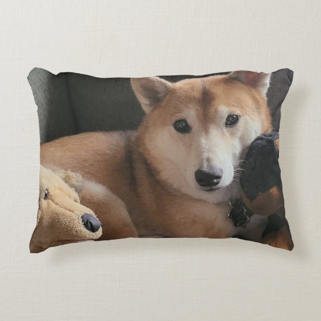 With Friends is Always Better Accent Pillow (Front)