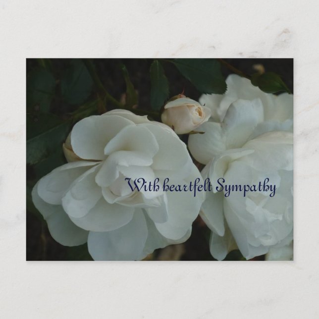 With heartfelt Sympathy - Beileidskarte Postcard (Front)