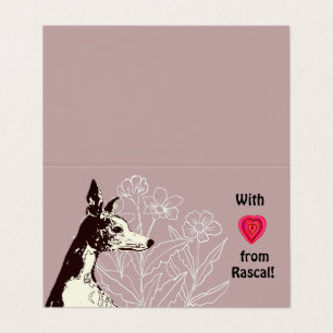 With love from your Whippet