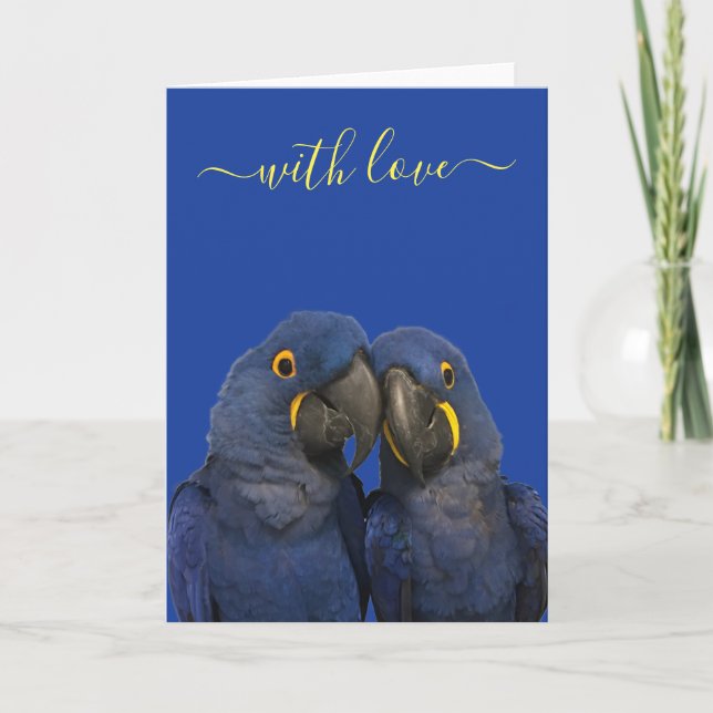 With Love Hyacinth Macaw Parrot Bird Blue Card (Front)