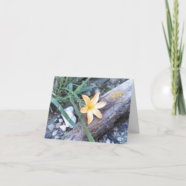 With Love Yellow Flower Blank Greeting Card (Front)