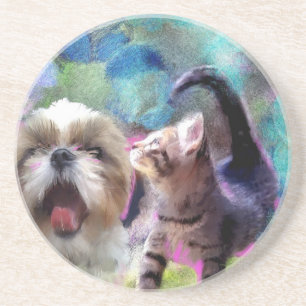 with my buddy coaster