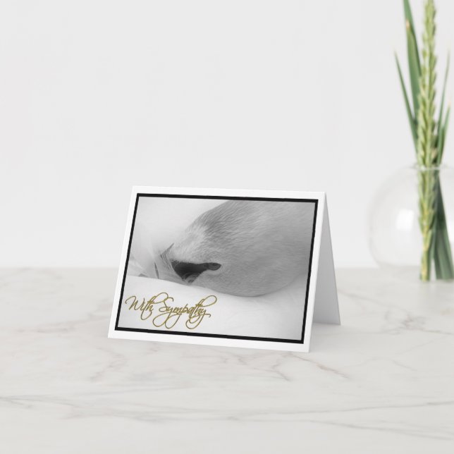 "With Sympathy" Card (Front)