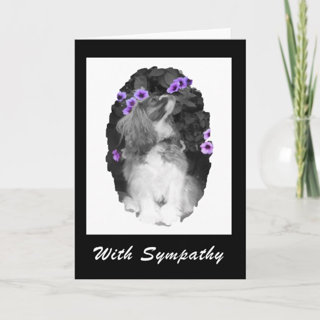 With Sympathy Cavalier King Charles Card (Front)
