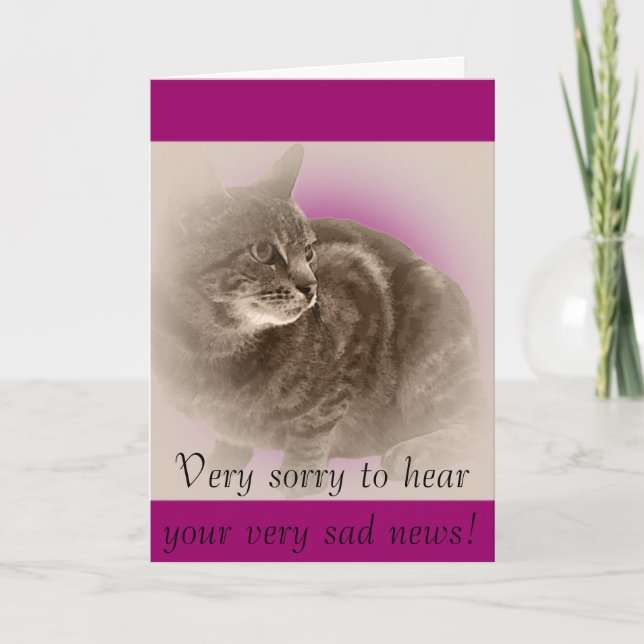With Sympathy (loss of a cat) Card (Front)
