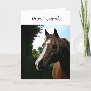 With Sympathy (loss of a horse) Card