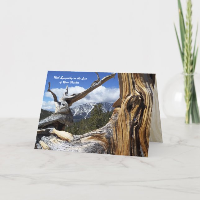 With Sympathy Loss of Brother Mountain Thru Tree Card (Front)