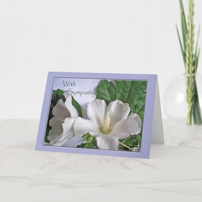 With Sympathy White Hibiscus Rose of Sharon Card (Front)