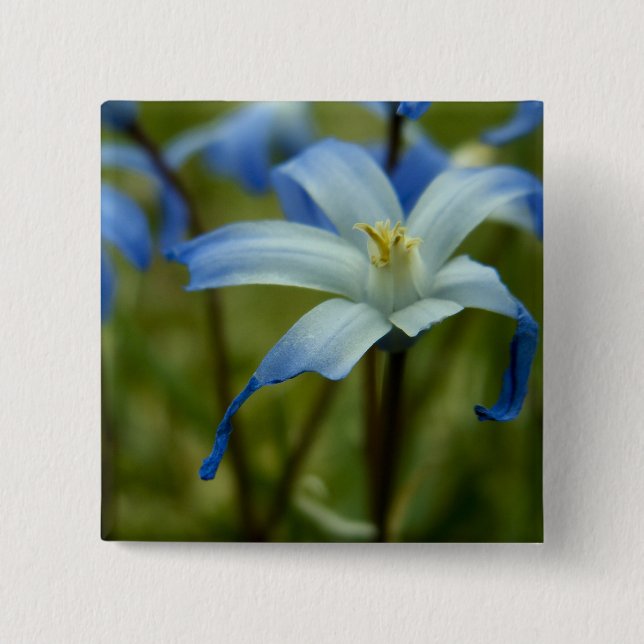 witherly 2 inch square button (Front)