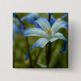 witherly 2 inch square button