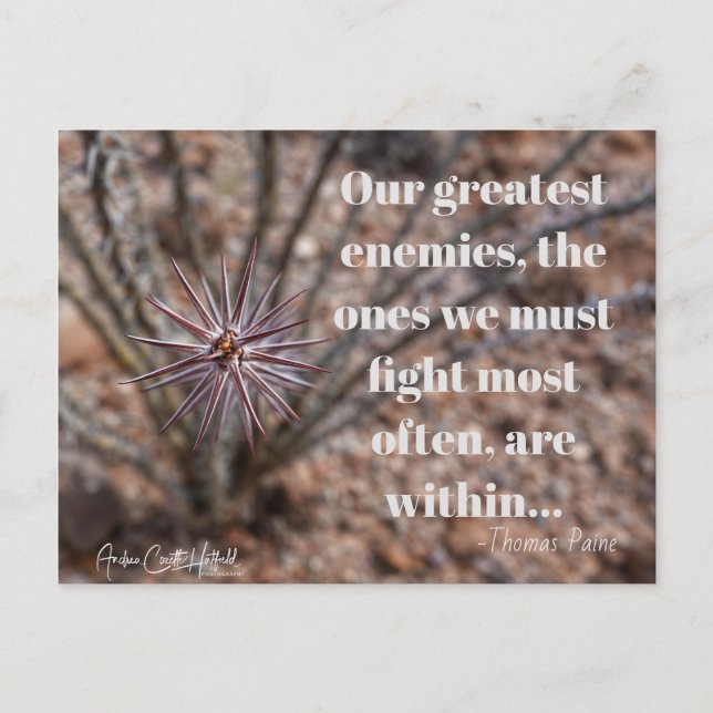 Within Postcard (Front)