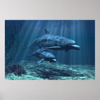 Within the Light Poster