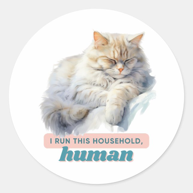 Witty Gifts for Cat Dads Classic Round Sticker (Front)
