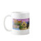 Wizard101 Worlds of the Spiral Mug