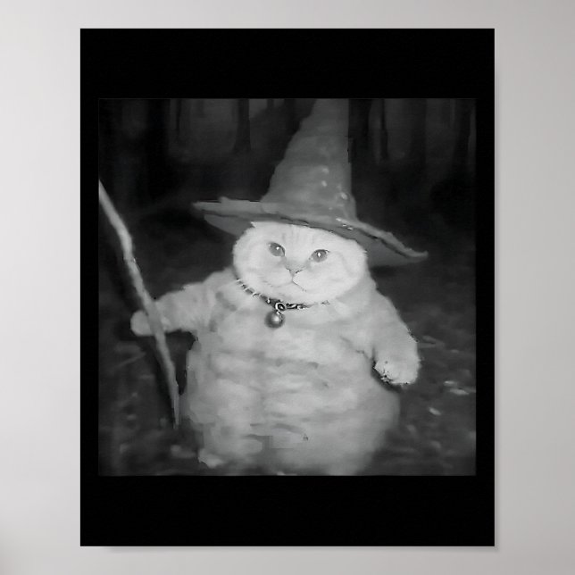 Wizard Cat Weird Funny Halloween Cat Meme  Poster (Front)