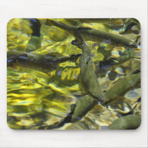 Wizard Falls Fish Hatchery Mouse Pad