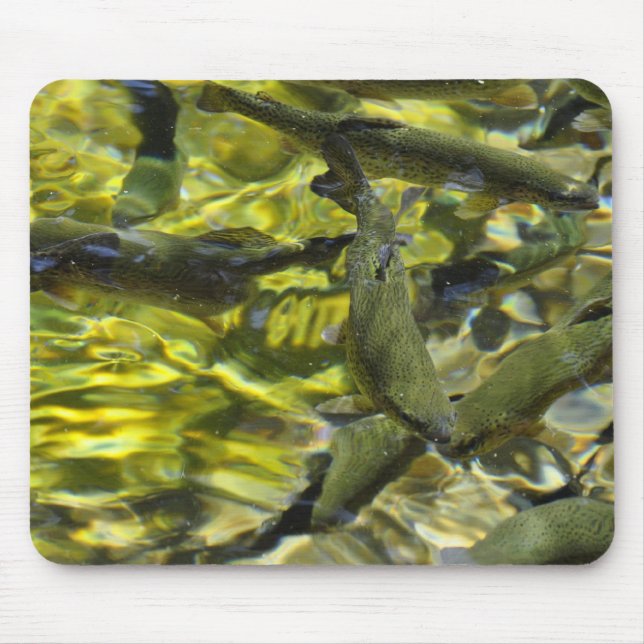 Wizard Falls Fish Hatchery Mouse Pad (Front)
