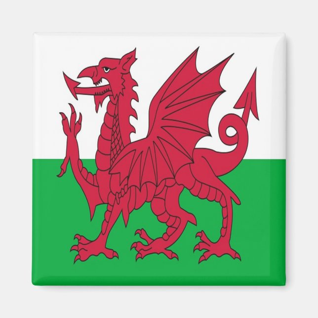 WLS001 FLAG welsh WALES, Fridge Magnet (Front)