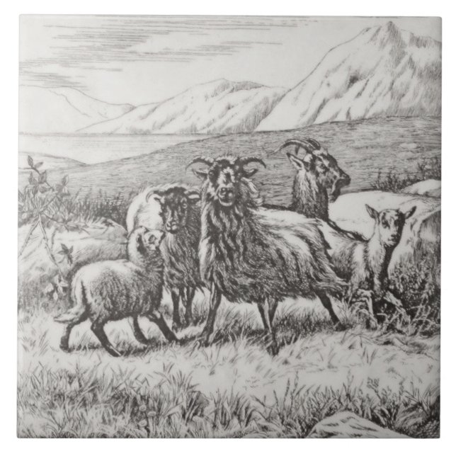Wm Wise Minton Farm Animals Goats Tile Repro c1879 (Front)