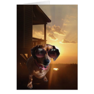 "Woah, that sun is bright," said Baxter.