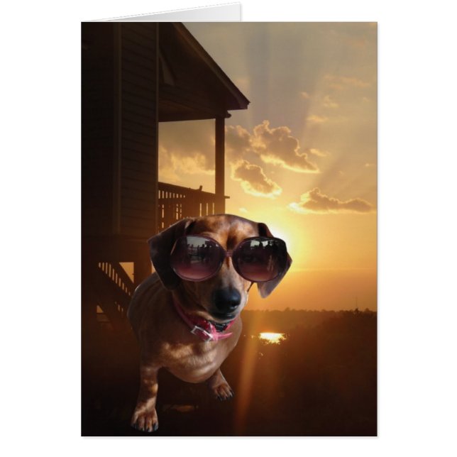 "Woah, that sun is bright," said Baxter. (Front)