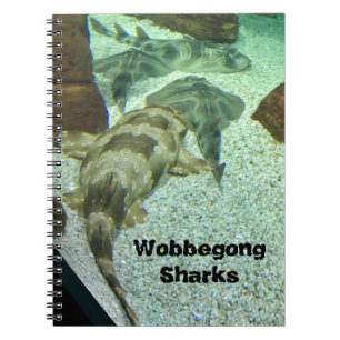 Wobbegong Sharks Notebook
