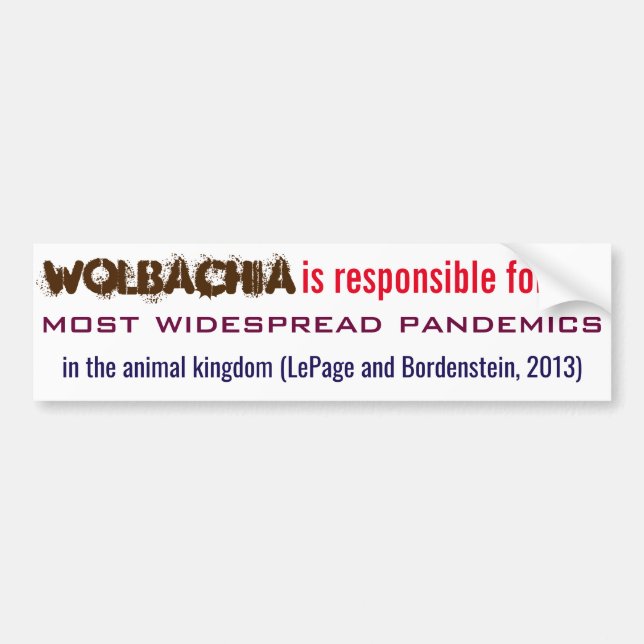 Wolbachia is Responsible by RoseWrites Bumper Sticker (Front)