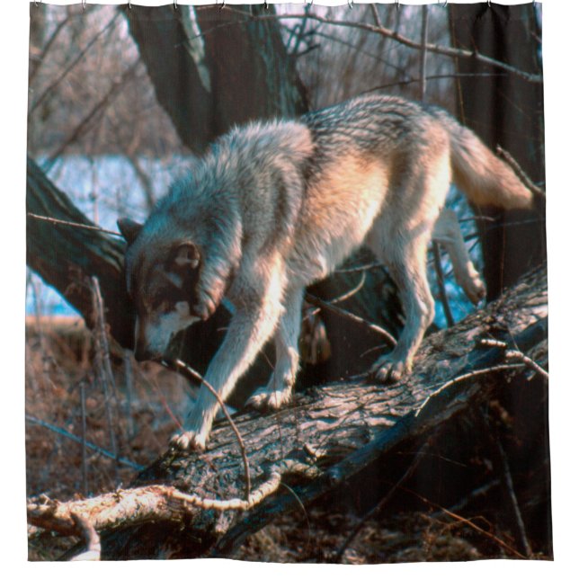 Wolf (Front)
