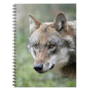 Wolf 001 notebook