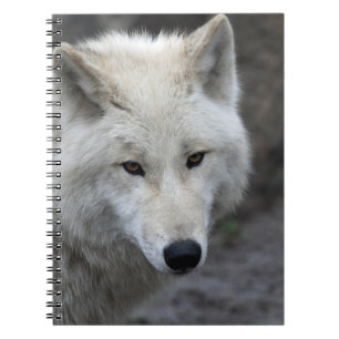 Wolf 015 notebook