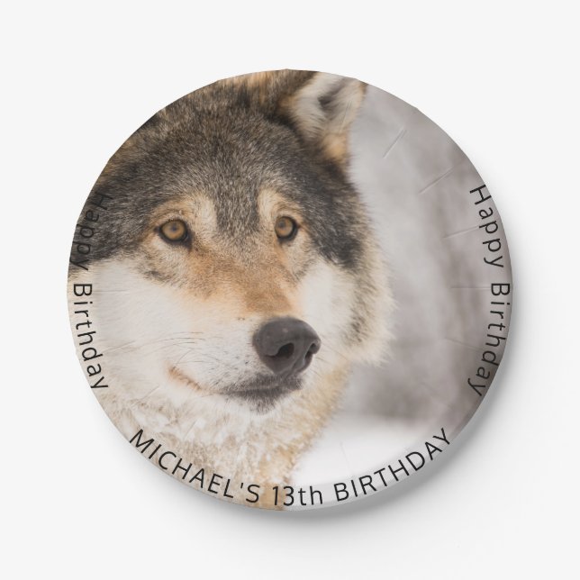 Wolf 13th birthday party teen boy paper plate (Front)