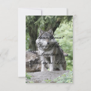 Wolf 14AJ Invitation