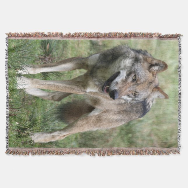 Wolf 19 throw blanket (Front)