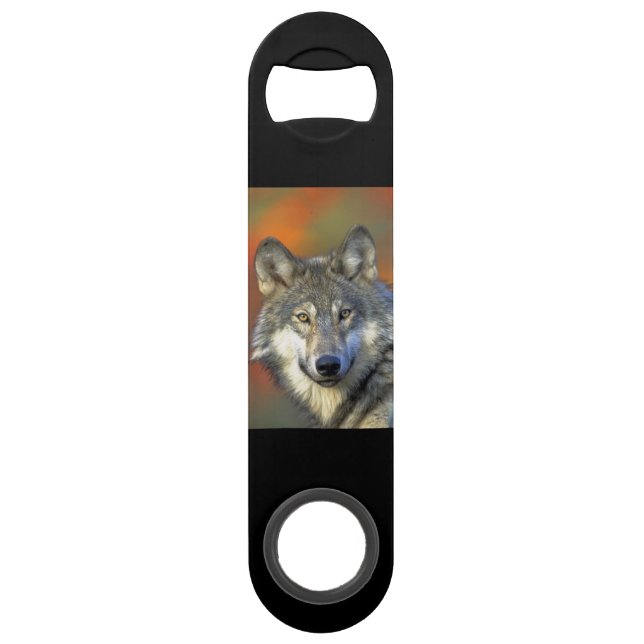 Wolf_2015_0302 Bar Key (Front)