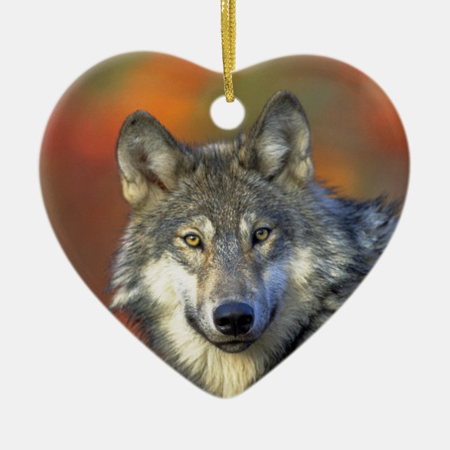 Wolf_2015_0302 Ceramic Ornament (Front)