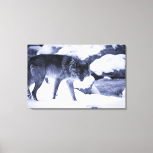Wolf 2 canvas print