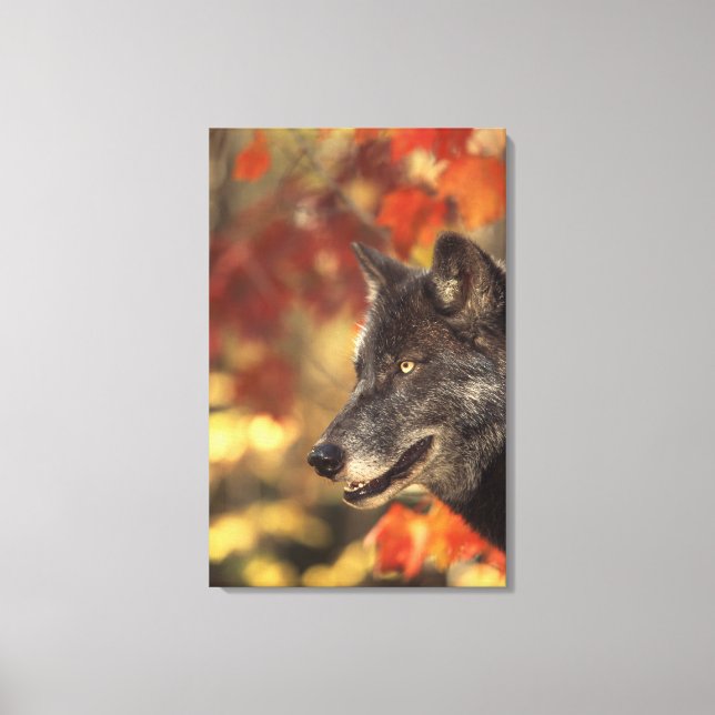 Wolf 3 canvas print (Front)