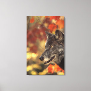 Wolf 3 canvas print