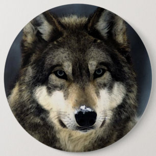 Wolf 6 Inch Round Button
