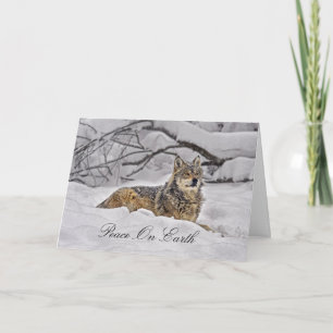 Wolf American Grey Wolf Holiday Card