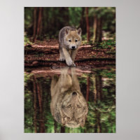 Wolf and Pup Water Reflection, Abstract Motivation