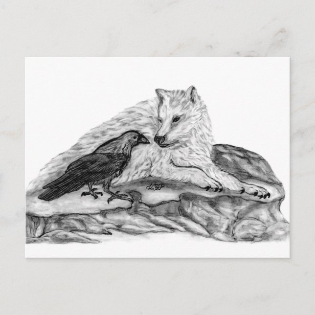 Wolf and Raven black and white design Postcard (Front)
