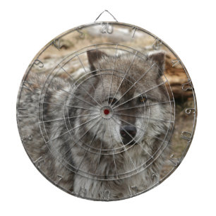 wolf animal face eyes canine forest zoo park dartboard