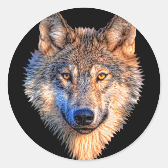 Wolf animal face. Scary grey wolf head Classic Round Sticker (Front)