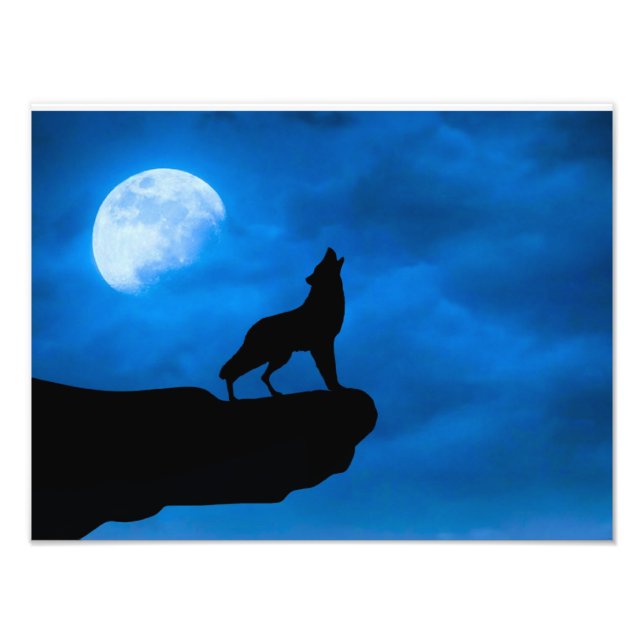 Wolf at Night Photo Print (Front)