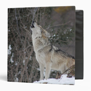 Wolf Binder