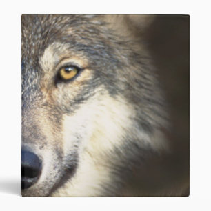 Wolf Binder