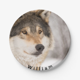Wolf birthday party boy name paper plate